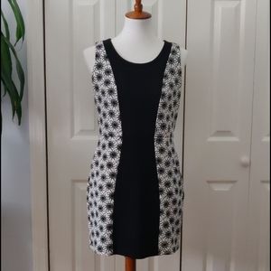 Anthropologie Fitted Dress